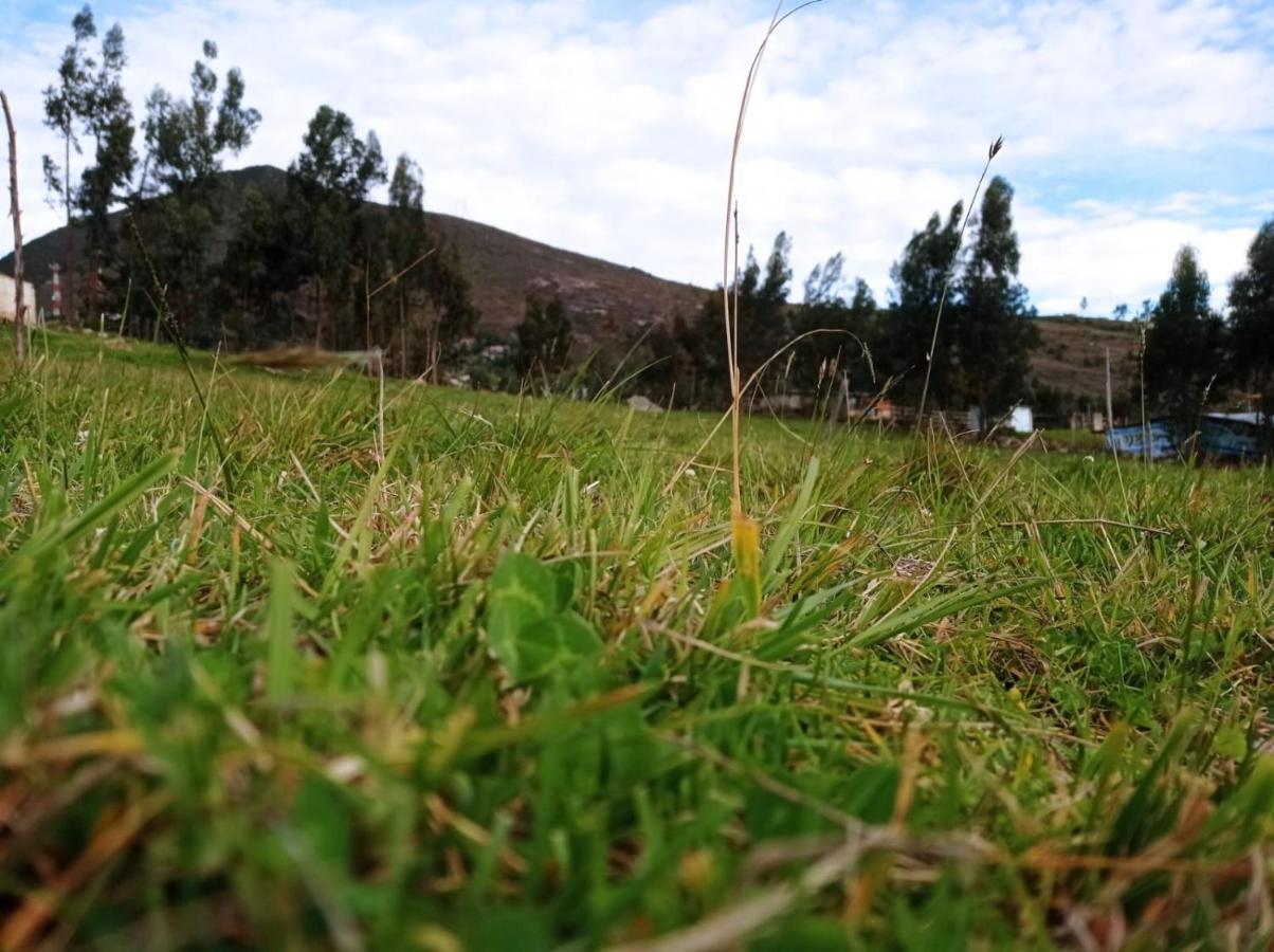 Camping Las Acacias Guatavita Exterior foto