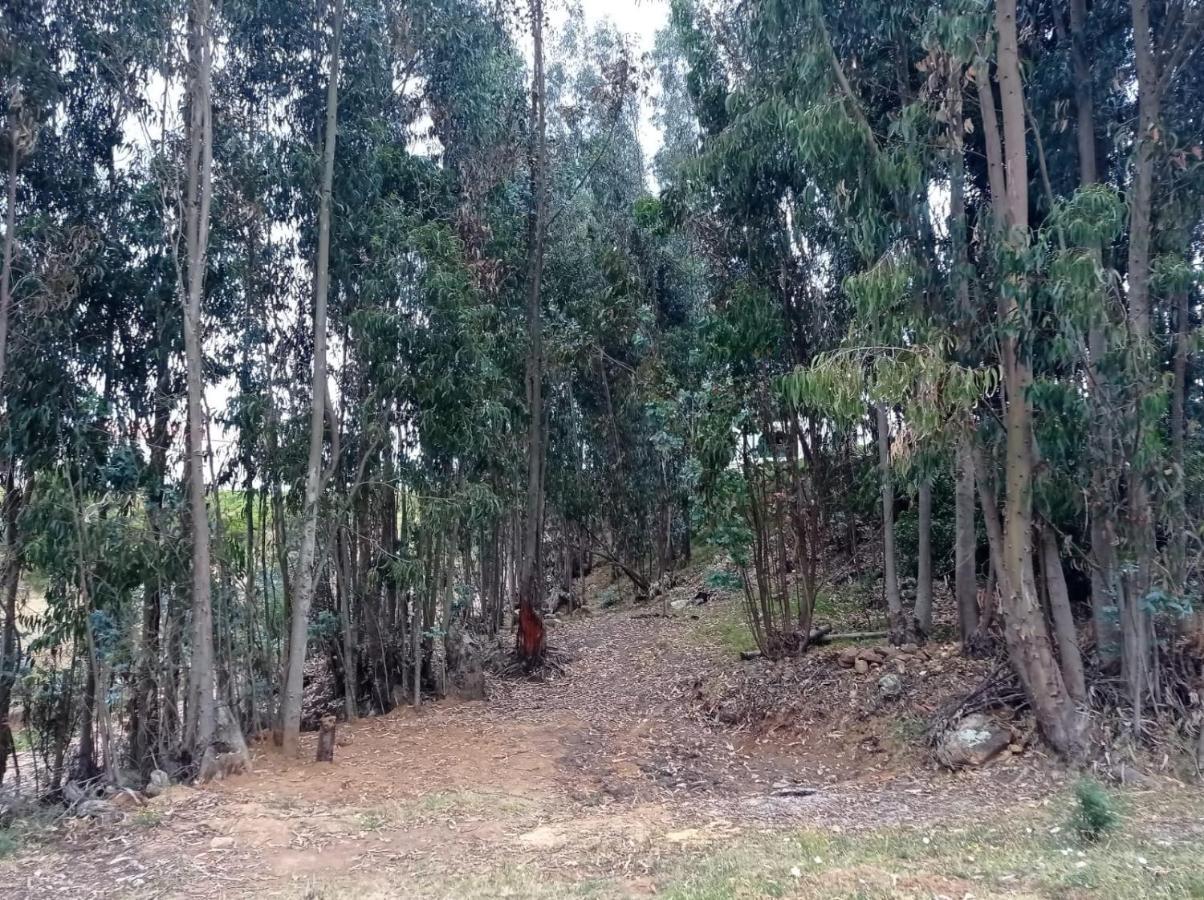 Camping Las Acacias Guatavita Exterior foto